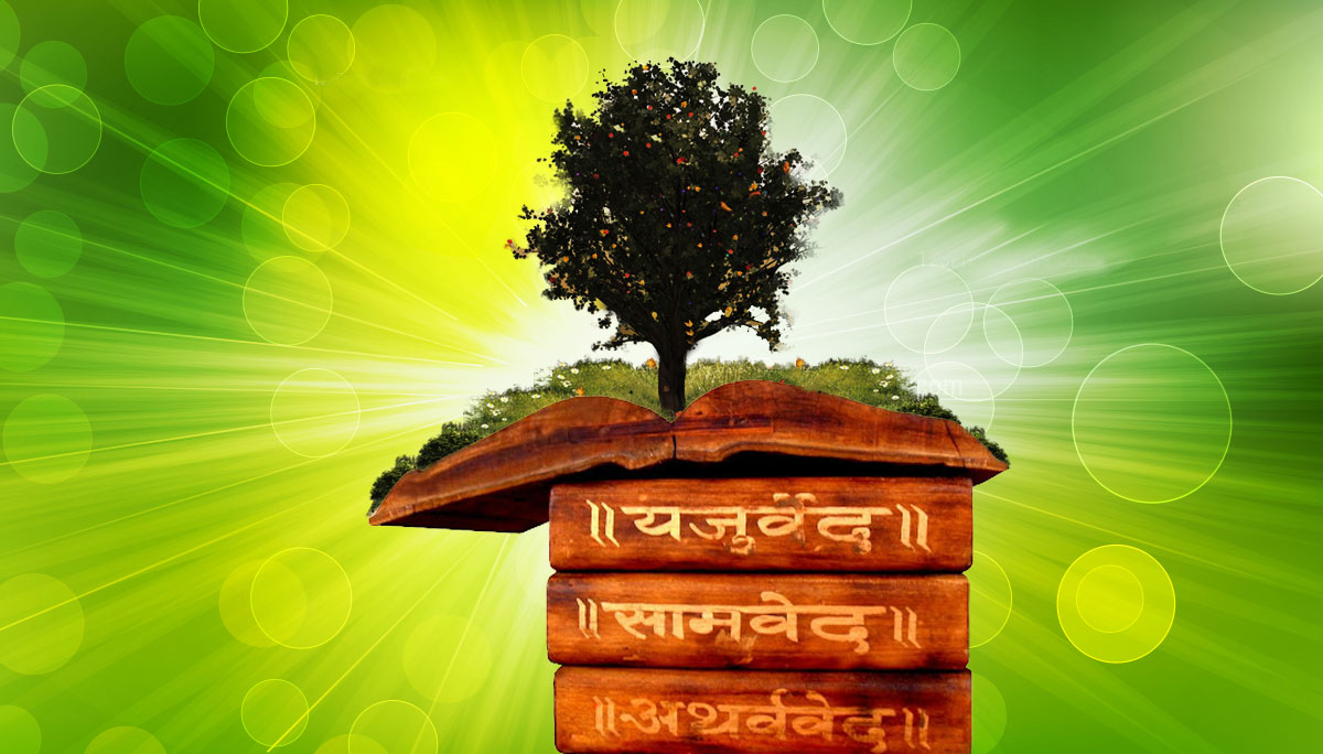 vedas and environment